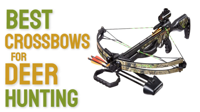 Best Crossbows for Deer Hunting