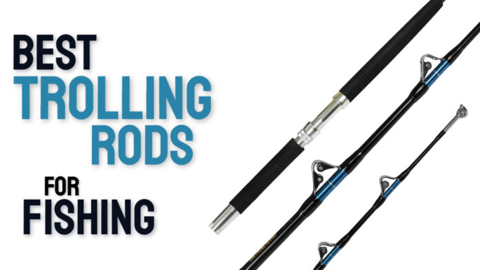 Best Trolling Rods For Fishing