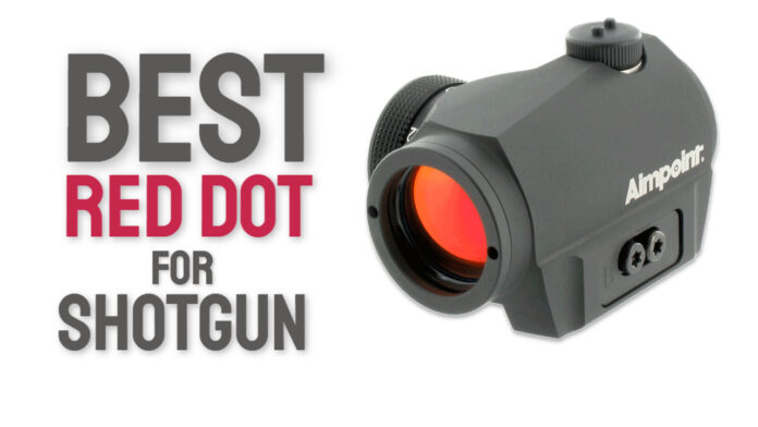 Best Red Dot for Shotgun
