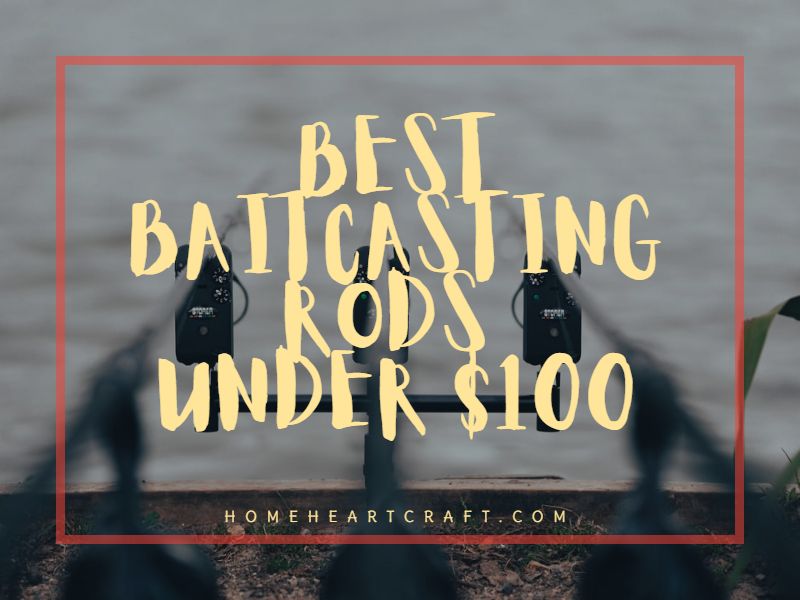 Best Baitcasting Rods Under $100