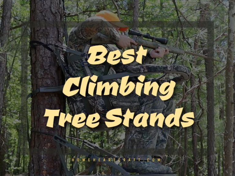 10 Best Climbing Tree Stands 2024 Top Hunting Equipment