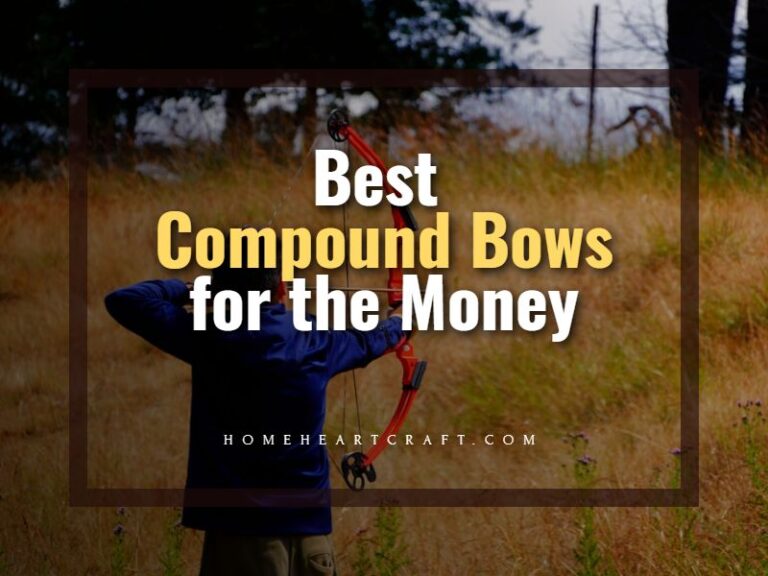 10 Best Compound Bows for the Money 2024 Ideal Hunting Equipment