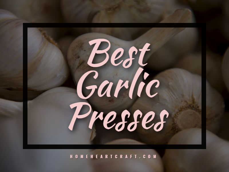 Best Garlic Presses