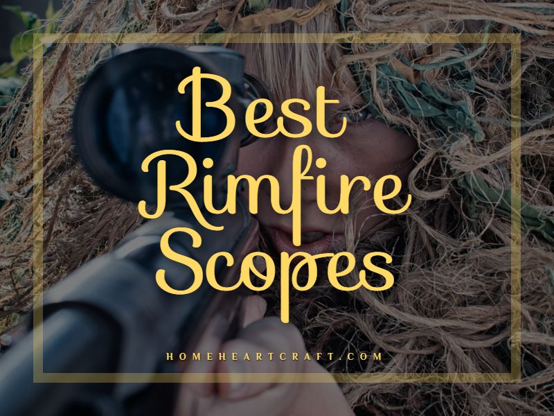 Best Rimfire Scopes