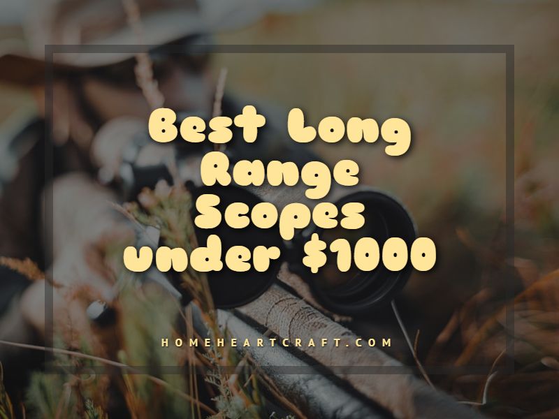 Long Range Scopes