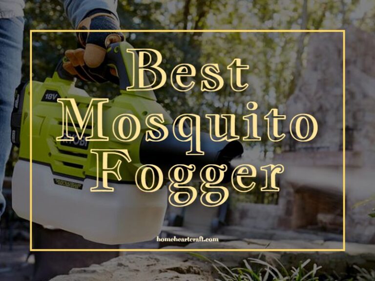 10 Best Mosquito Fogger 2024 Keeping You Protected From Mosquito