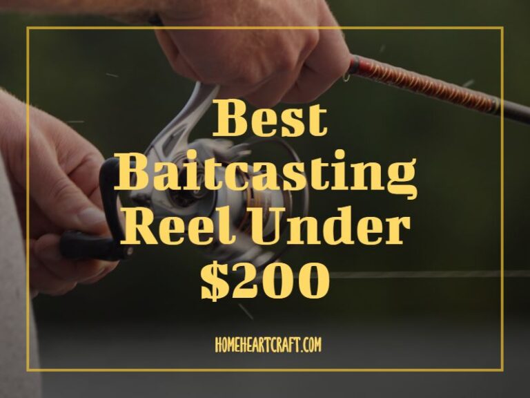 10 Best Baitcasting Reel under 200 2024 Step Up Your Reel Game