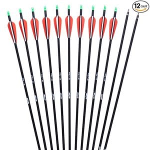 ANTSIR Outdoors Carbon 30-Inch 7.8mm Shaft Removable Arrows with Field Points Replaceable Tips for Recuve & Compound Bow (Pack of 12)