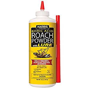 best roach killers on the market