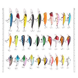 Best Bass Baits for Ponds