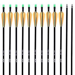 antsir 12pcs lot fiberglass arrow